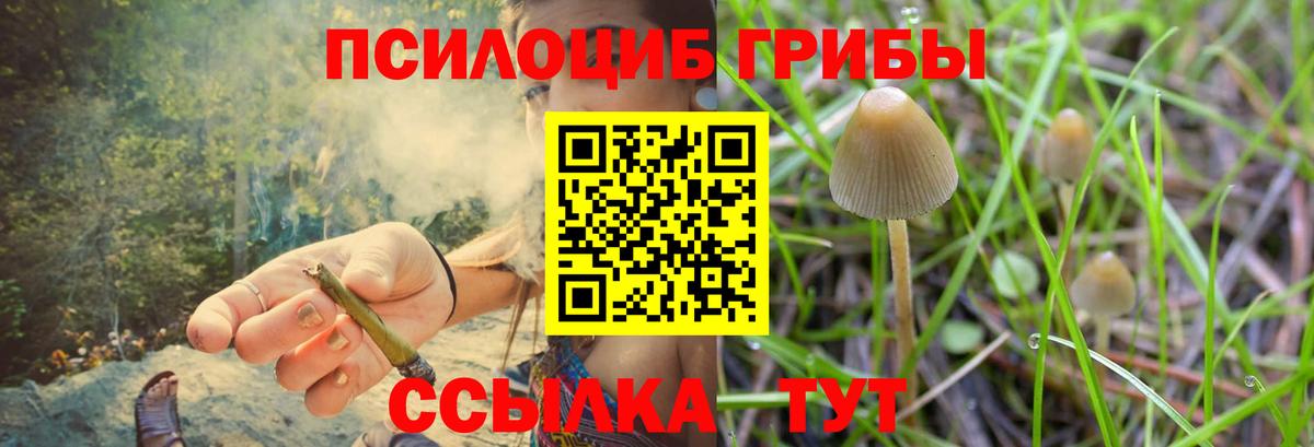 Скопин  цена   Вход с VPN  Галлюциногенные грибы прущие грибы 